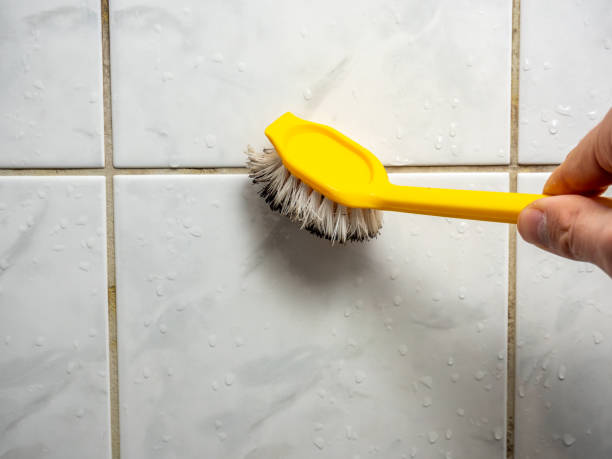 Best Professional Mold Removal  in Valencia West, AZ