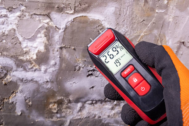Best Crawl Space Mold Removal  in Valencia West, AZ