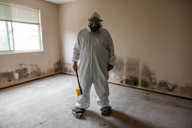 Best Mold Remediation Services  in Valencia West, AZ